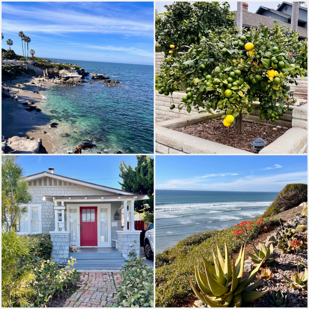 Travel With Megan for Five Sunny Days in La Jolla, California