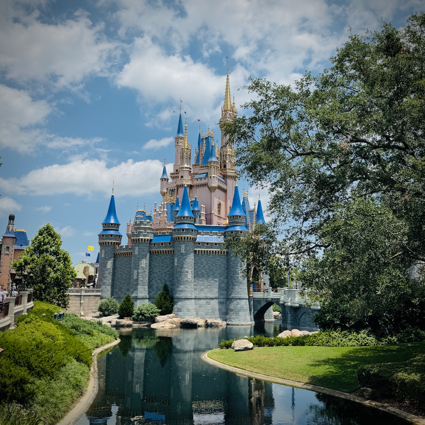 What to Wear at Disney World for Women Over 50